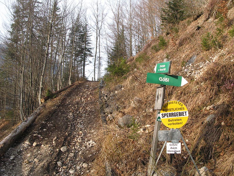 dreibruederkogel